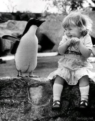 Ой пингвинчик