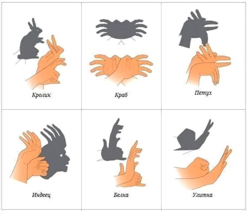 Как делать тени зверей руками